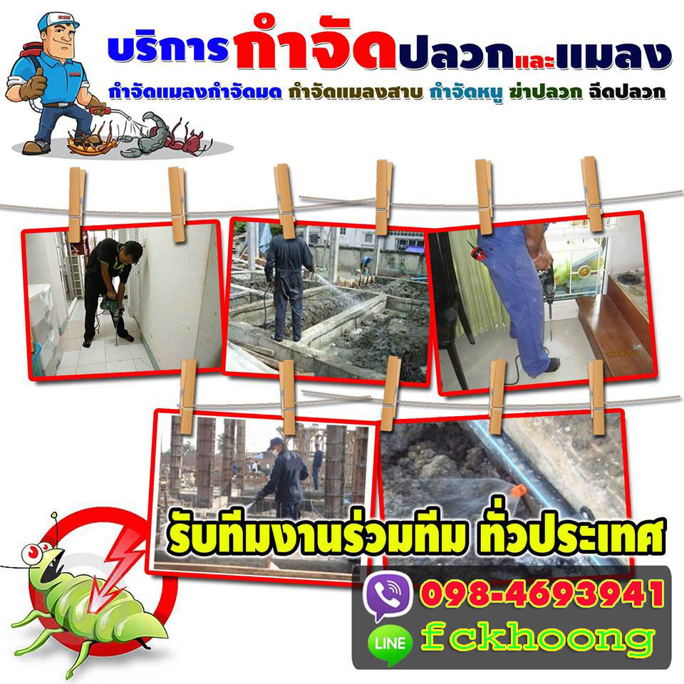 ปลวกเขตลาดพร้าว