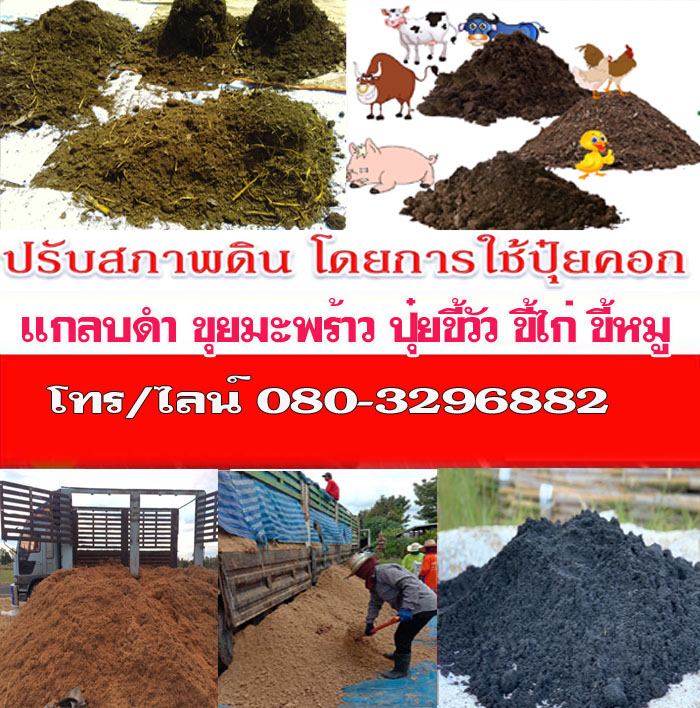 ปุ๋ยอินทรีย์ราชบุรี